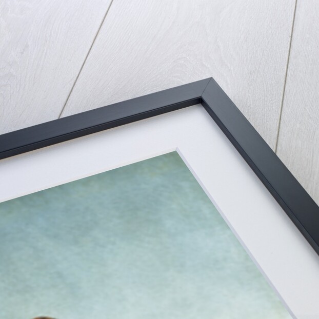 Bronco Rider by William Herbert 'Buck' Dunton