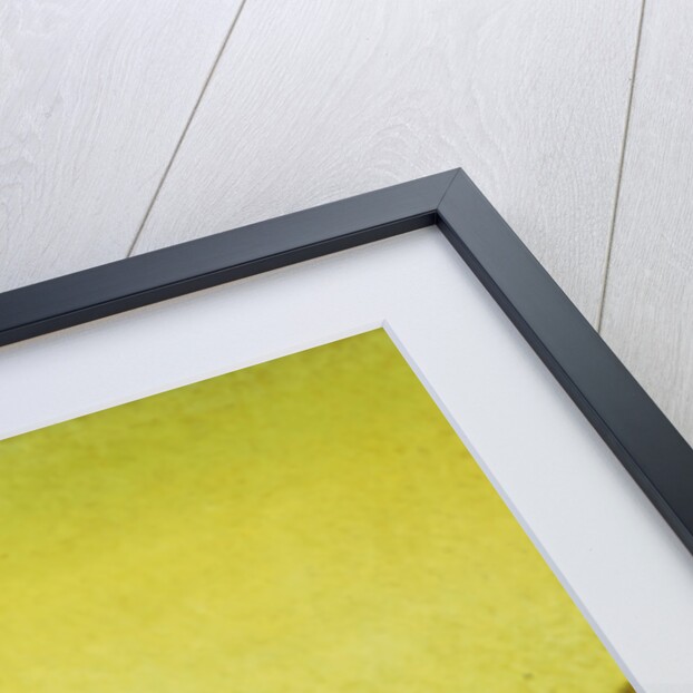 New York Cityscape by Paul Cornoyer