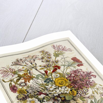 October by Anonymous