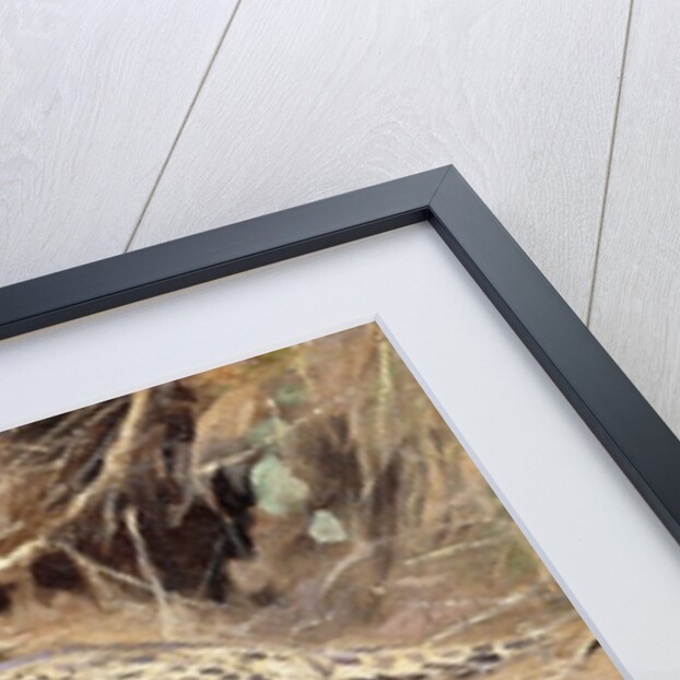 A Leopard by Wilhelm Kuhnert