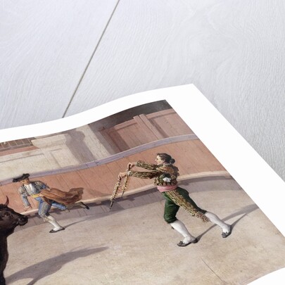 Bullfighting Scene by Anonymous