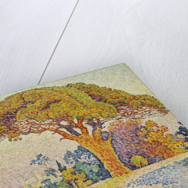 Pine Trees at Bertaud, Saint- Tropez (Provence) by Paul Signac