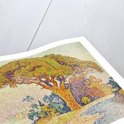 Pine Trees at Bertaud, Saint- Tropez (Provence) by Paul Signac