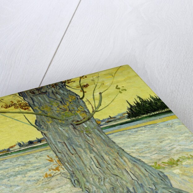 The Old Tree by Vincent Van Gogh