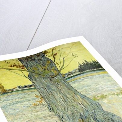 The Old Tree by Vincent Van Gogh
