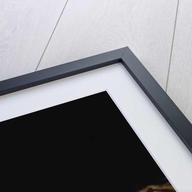 Sweet Slumber by Karl Wilhelm Friedrich Bauerle