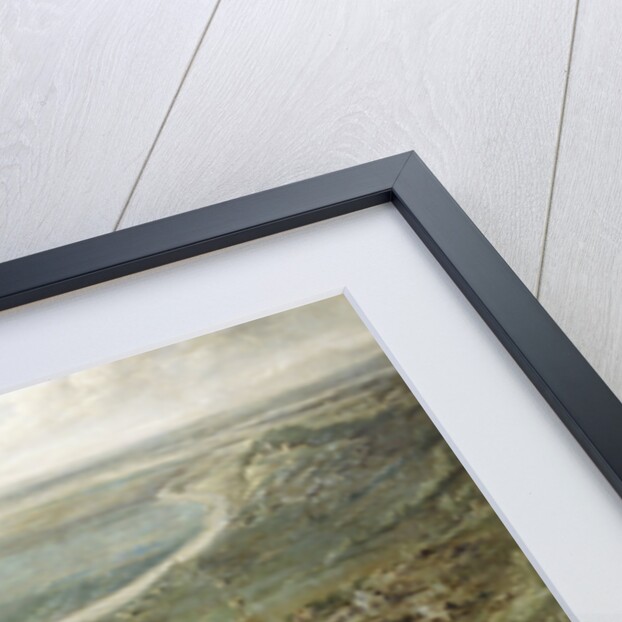 The Spanish and Imperial Troops defeated by France and Savoy at Valenza Po by Peeter Snayers