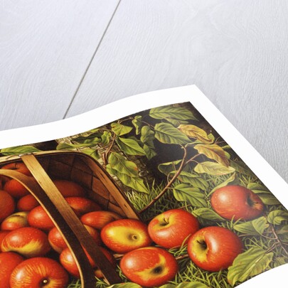 Basket of Apples by Levi Wells Prentice