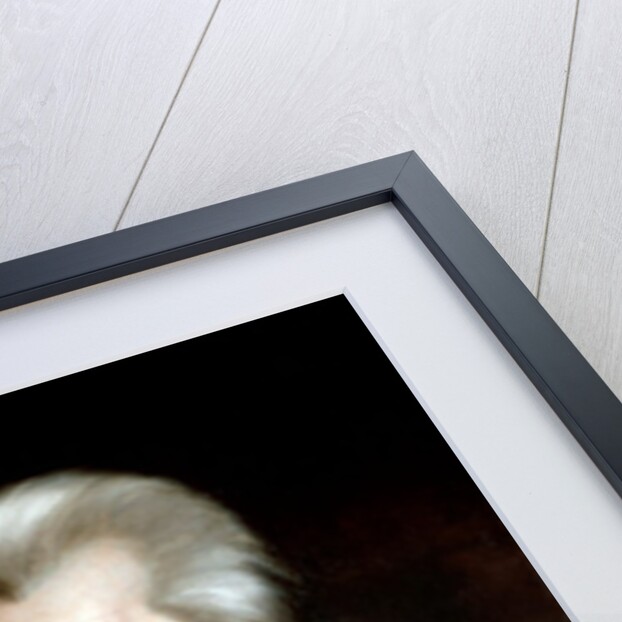 Andrew Jackson by Ralph Eleaser Whiteside Earl