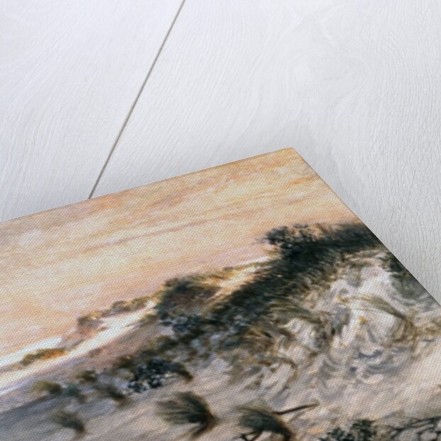 Sand Dunes at Sunset, Atlantic City by Henry Ossawa Tanner