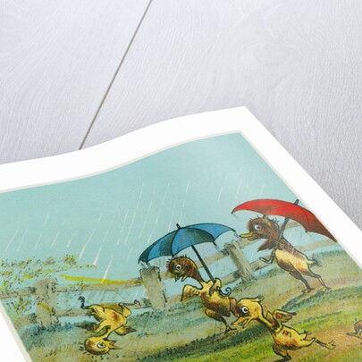 Ducklings in the Rain by Anonymous