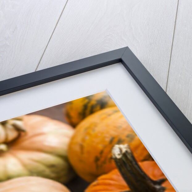 Pumpkins, gouds and winter squash for sale by Anonymous