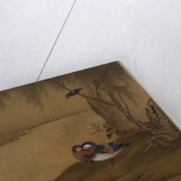 Mandarin ducks playing on a willow bank from an album of bird paintings by Gao Qipei