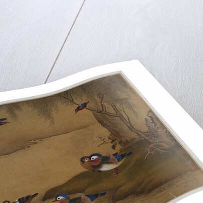 Mandarin ducks playing on a willow bank from an album of bird paintings by Gao Qipei