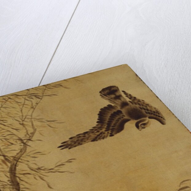 Falcon Hunting Prey by Hua Yan