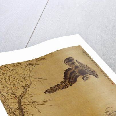 Falcon Hunting Prey by Hua Yan