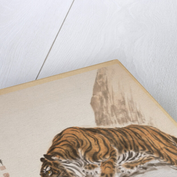 Tiger by Zhang Shanzi