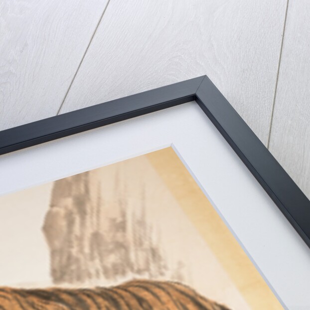 Tiger by Zhang Shanzi