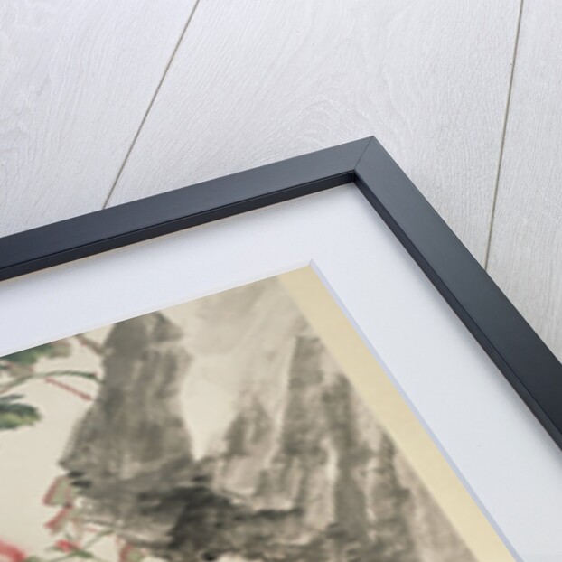 Cats on a Rock with Roses by Cheng Zhang