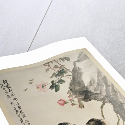 Cats on a Rock with Roses by Cheng Zhang