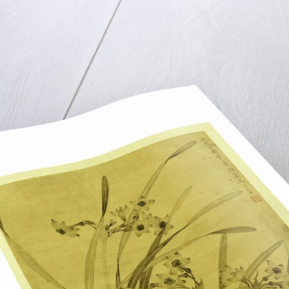 Narcissus by Ma Shouzhen
