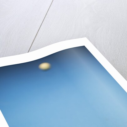 Billiard Game by Anonymous
