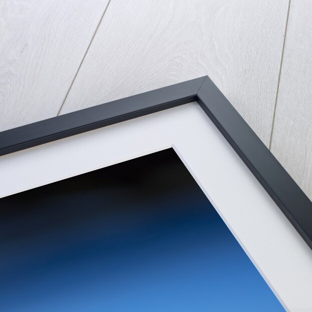 Billiard Game by Anonymous