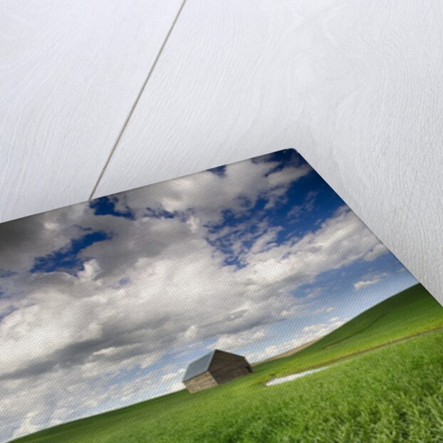 Old Barn in spring wheat field with beautiful clouds by Anonymous