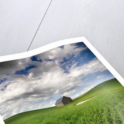 Old Barn in spring wheat field with beautiful clouds by Anonymous