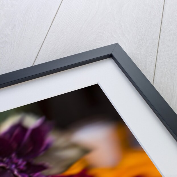 Flowers and Skull Laid out for Day of the Dead Celebration by Anonymous