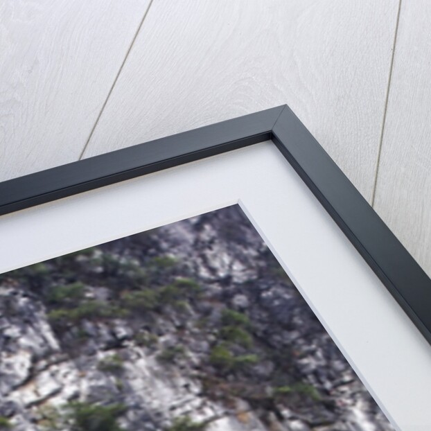 The lake and small Tea House of Jingjiang Princes' City by Anonymous