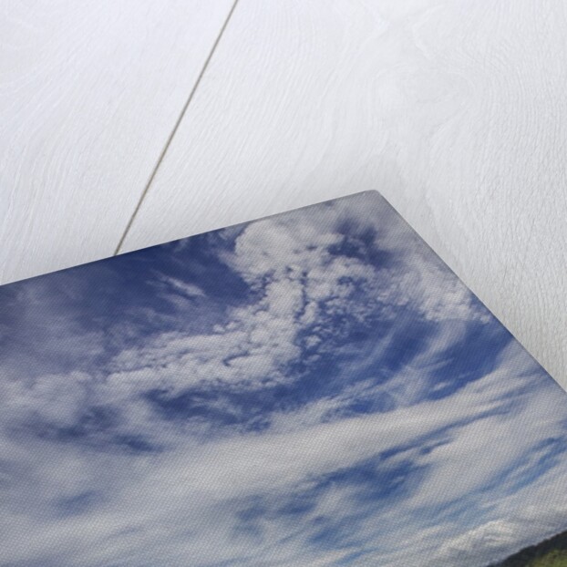 Coastline of Southern Oregon state by Anonymous