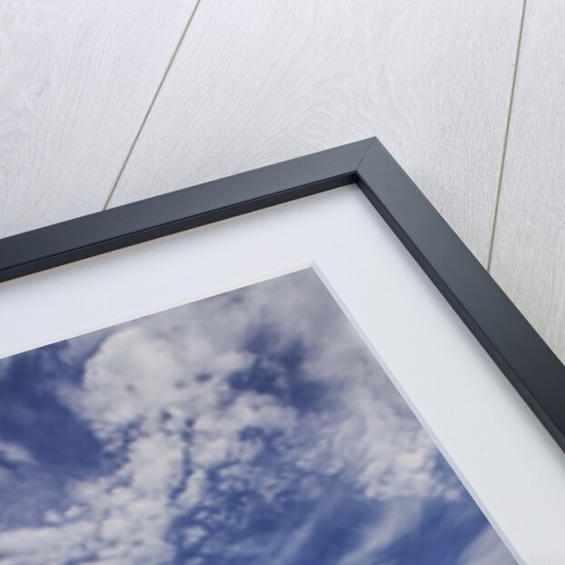 Coastline of Southern Oregon state by Anonymous