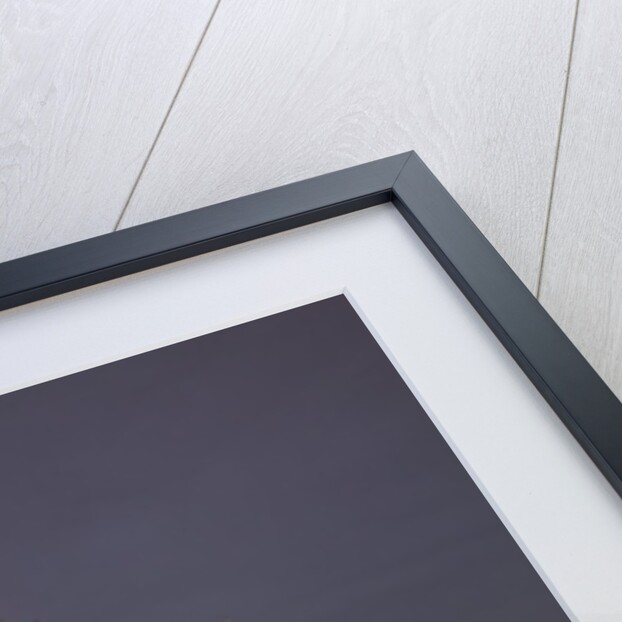 Sun and Moon Pagodas located on Banyan Lake, Guilin, China by Anonymous