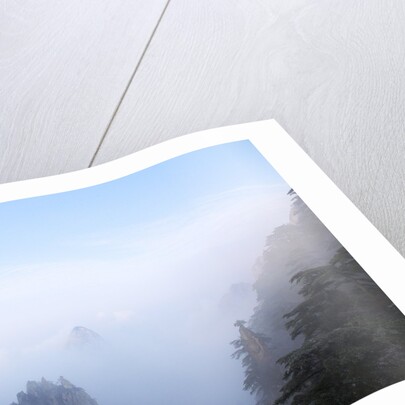 Evening Light on The Yellow Mountains by Anonymous