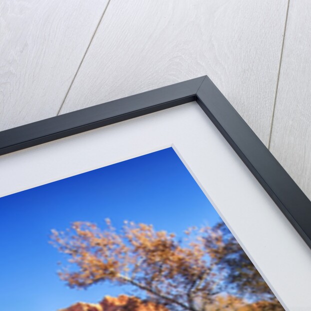 Red Rock Mountains near Red Rock Crossing with reflections in river by Anonymous