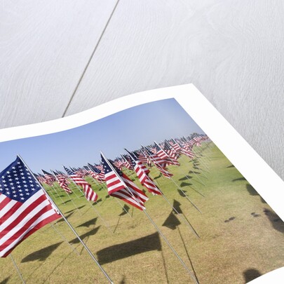 US Flags for 9/11 Memorial by Anonymous