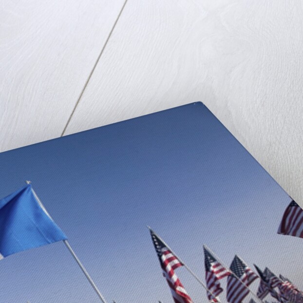 US and French Flag by Anonymous