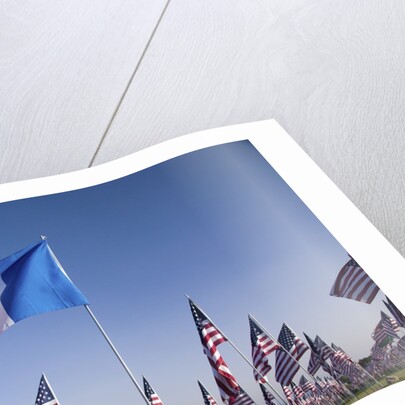 US and French Flag by Anonymous