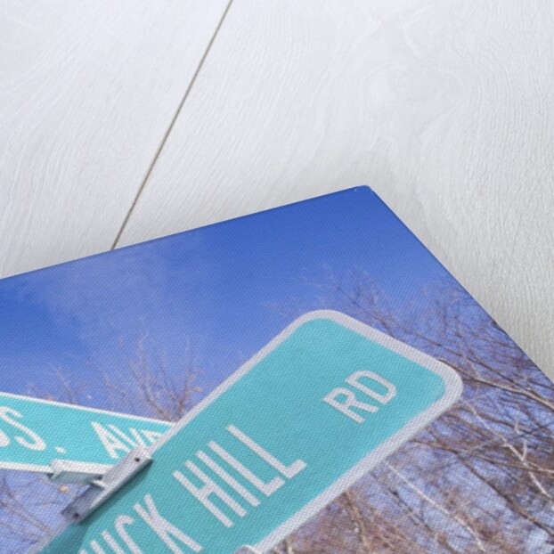 Mass Avenue Road Sign by Anonymous