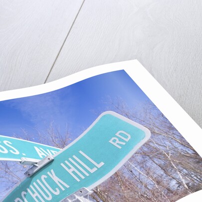 Mass Avenue Road Sign by Anonymous
