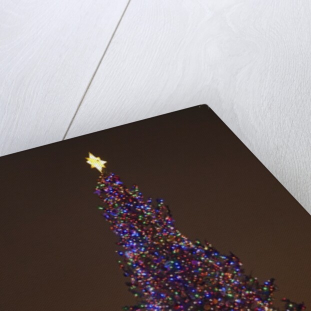 Capitol Christmas Tree at dusk in front of U.S. Capitol, Washington D.C. by Anonymous