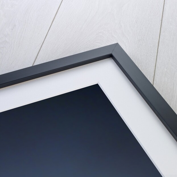 US Capitol in Fog by Anonymous