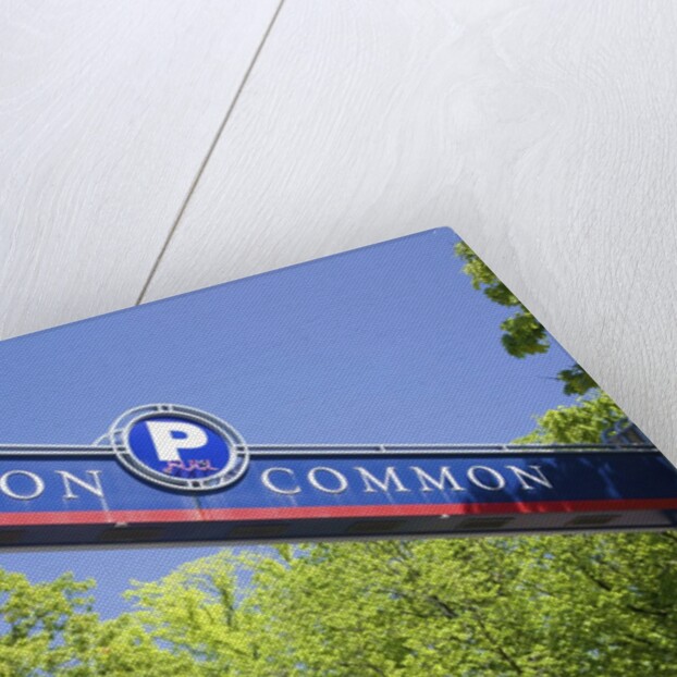 Boston Common Street Sign, Boston, MA by Anonymous