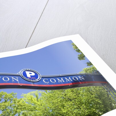 Boston Common Street Sign, Boston, MA by Anonymous