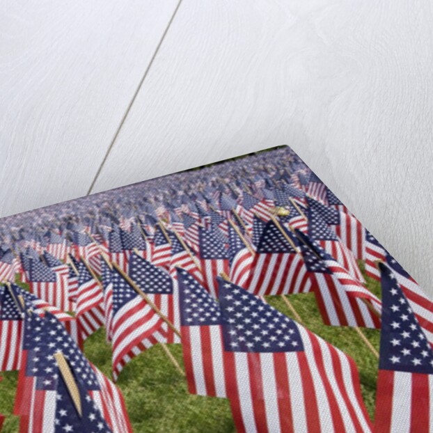 20,000 American Flags for Memorial Day, Boston Commons, Boston, MA by Anonymous