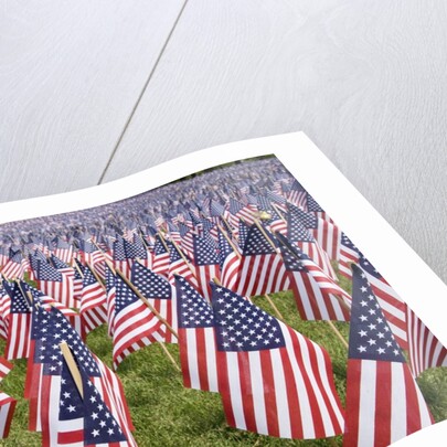 20,000 American Flags for Memorial Day, Boston Commons, Boston, MA by Anonymous
