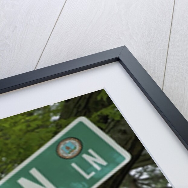 Minute Man Lane, American Revolution by Anonymous