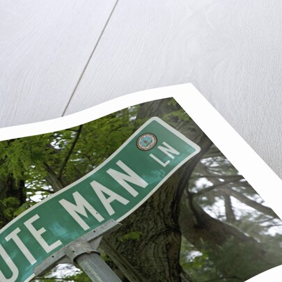 Minute Man Lane, American Revolution by Anonymous