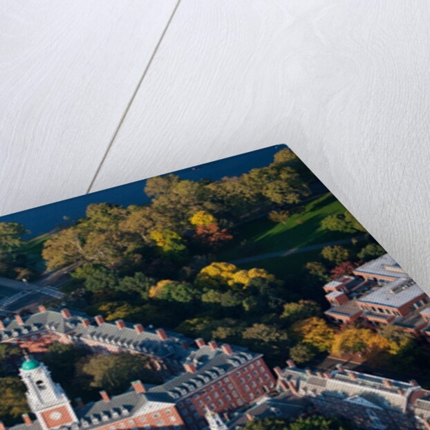 Sunrise Aerials of Eliot House Clock Tower, Harvard, New England by Anonymous